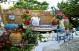 fish-house-12.jpg